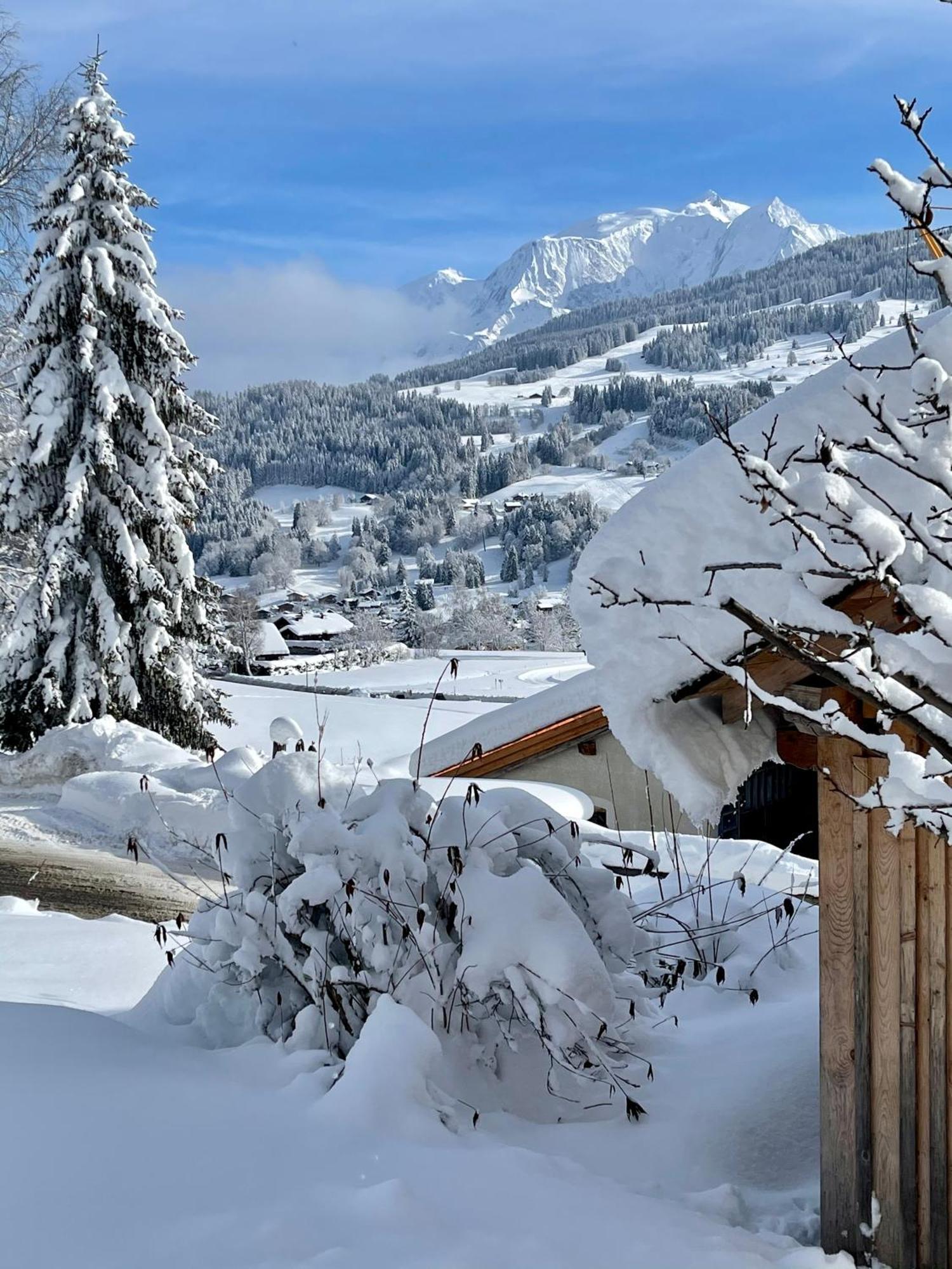 Chalet A Megeve-Vauvray - Grands Appartements , Vue Mont Blanc Demi-Quartier Exteriör bild