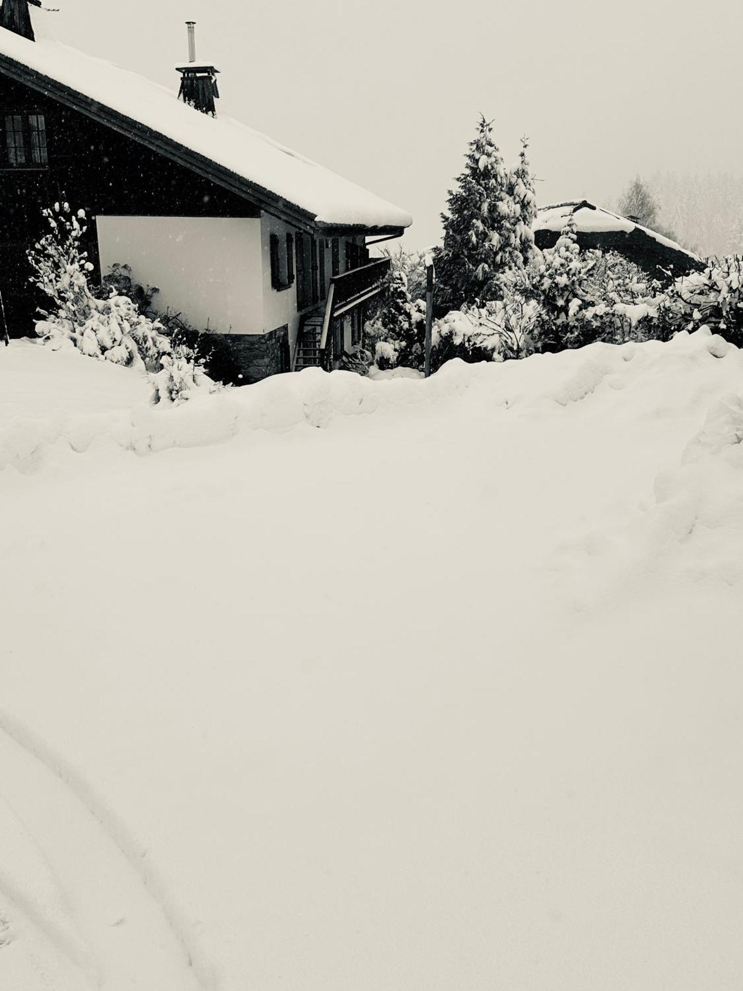 Chalet A Megeve-Vauvray - Grands Appartements , Vue Mont Blanc Demi-Quartier Exteriör bild